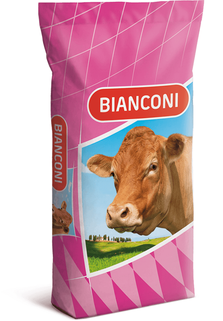 Mangime per Bovini da carne Bianconi