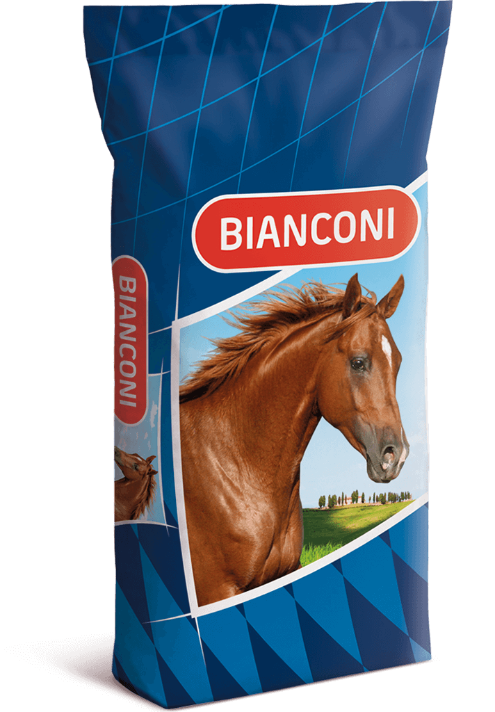 Equini Bianconi