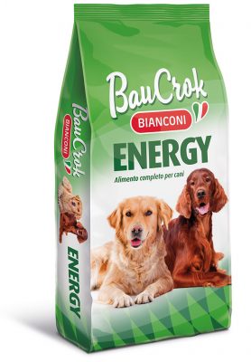 Bau Crok Energy